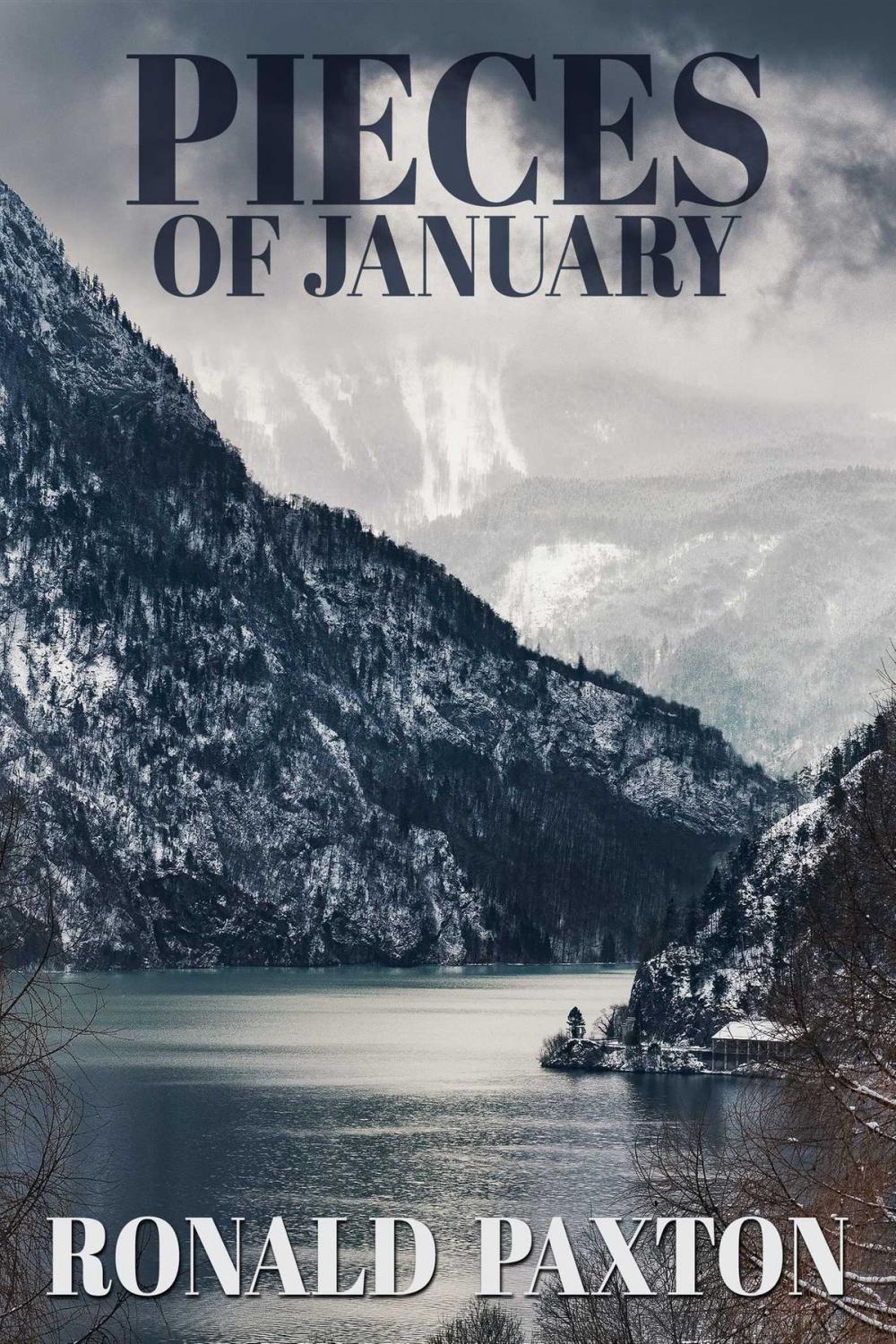 Big bigCover of Pieces of January