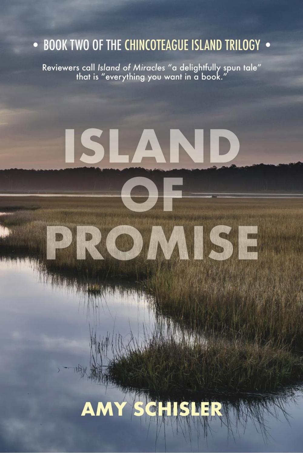 Big bigCover of Island of Promise