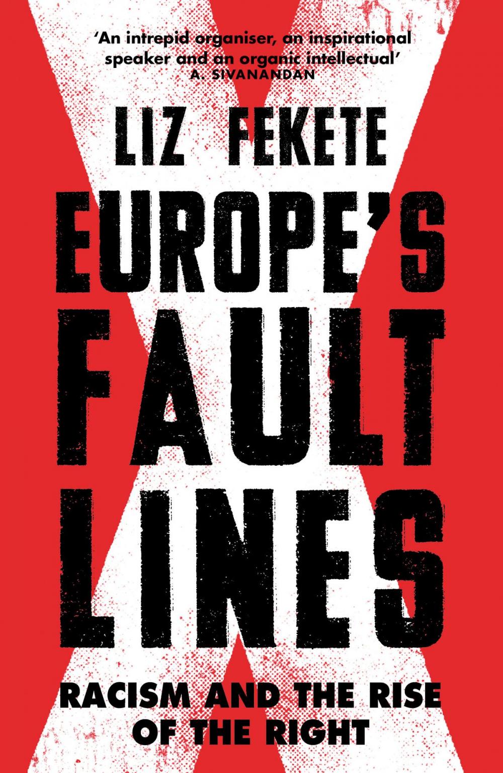 Big bigCover of Europe's Fault Lines