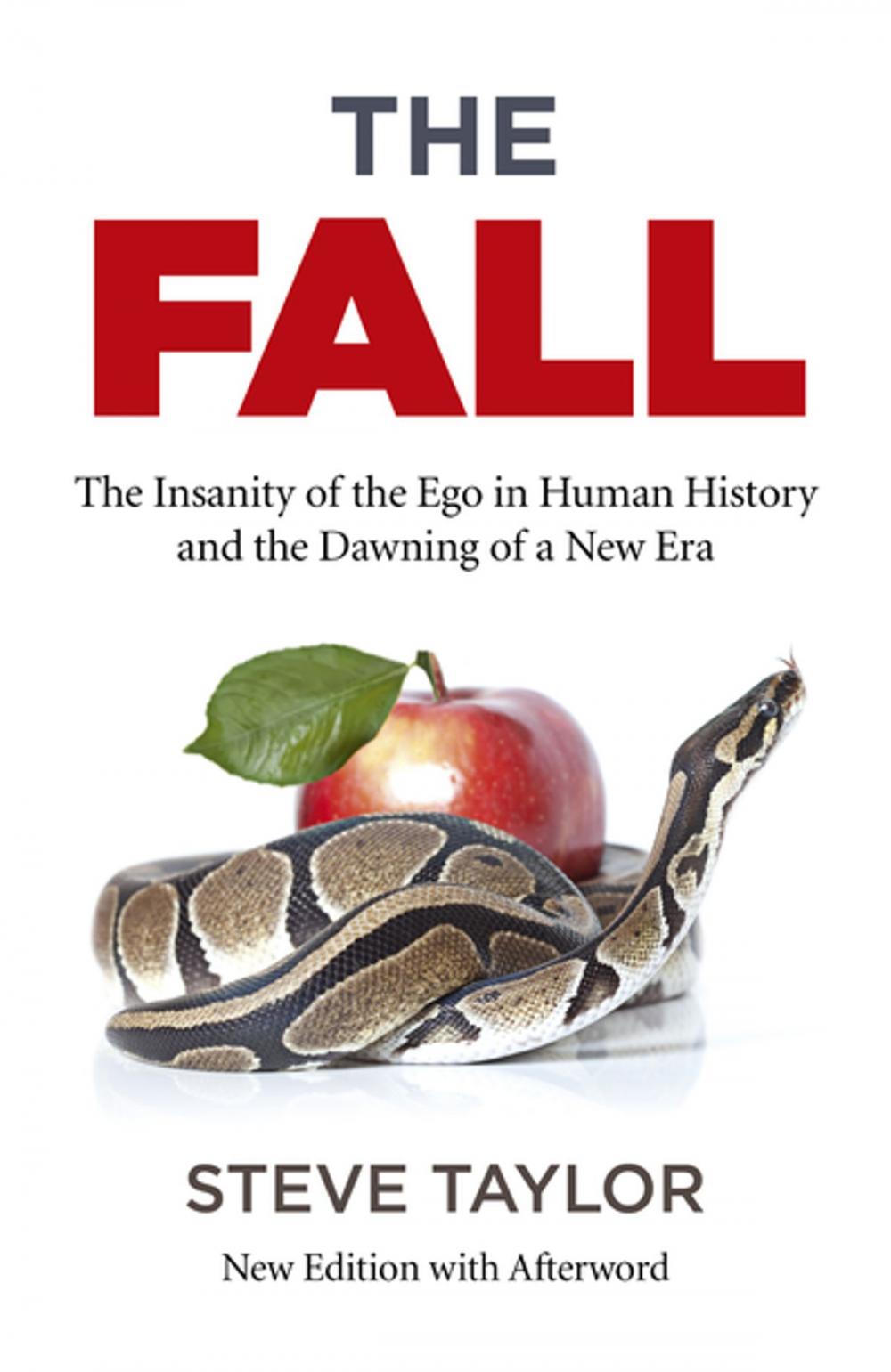 Big bigCover of The Fall