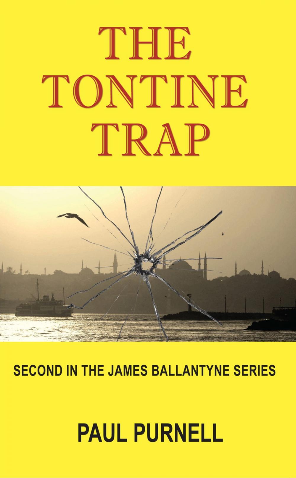 Big bigCover of The Tontine Trap