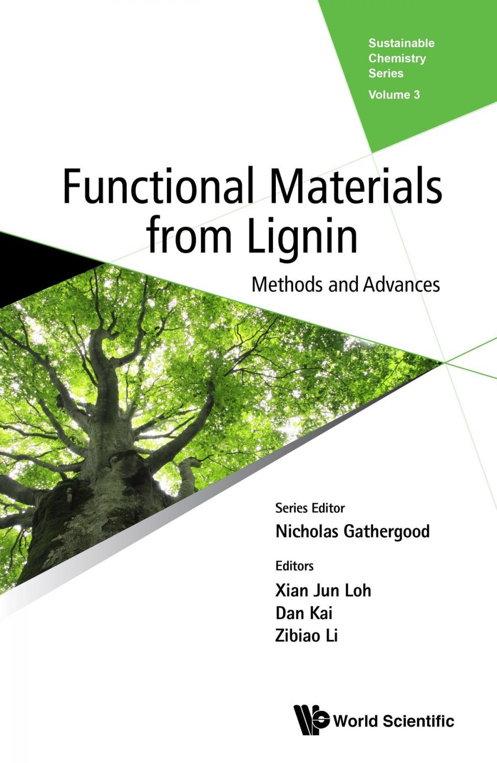 Big bigCover of Functional Materials from Lignin