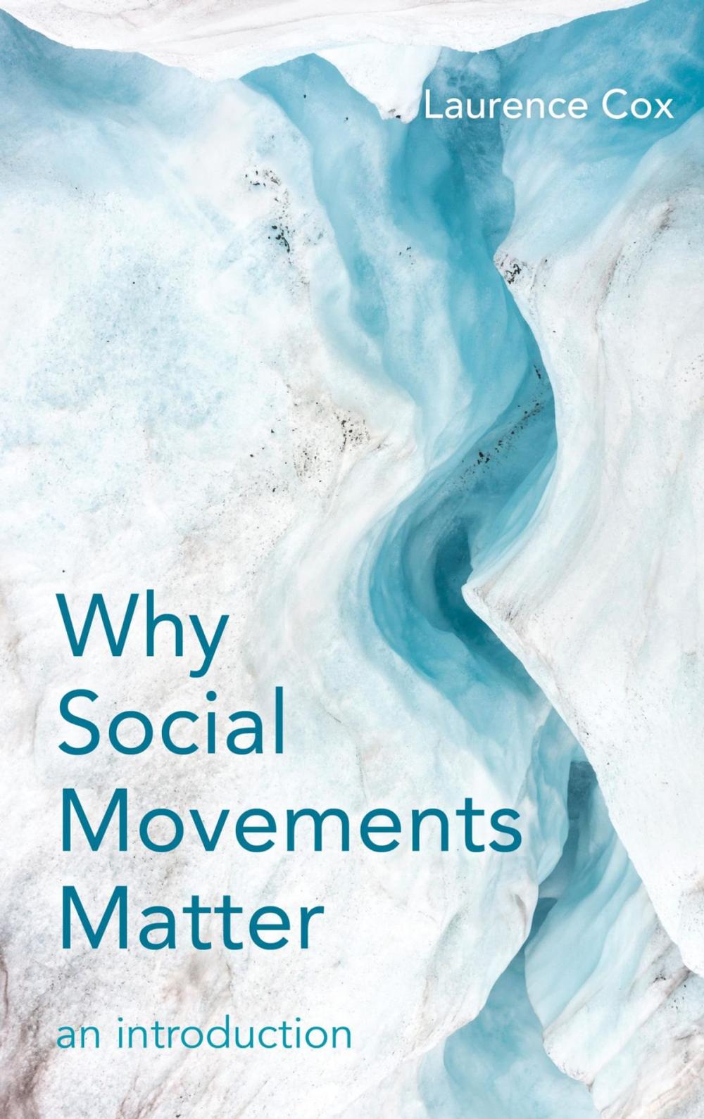 Big bigCover of Why Social Movements Matter