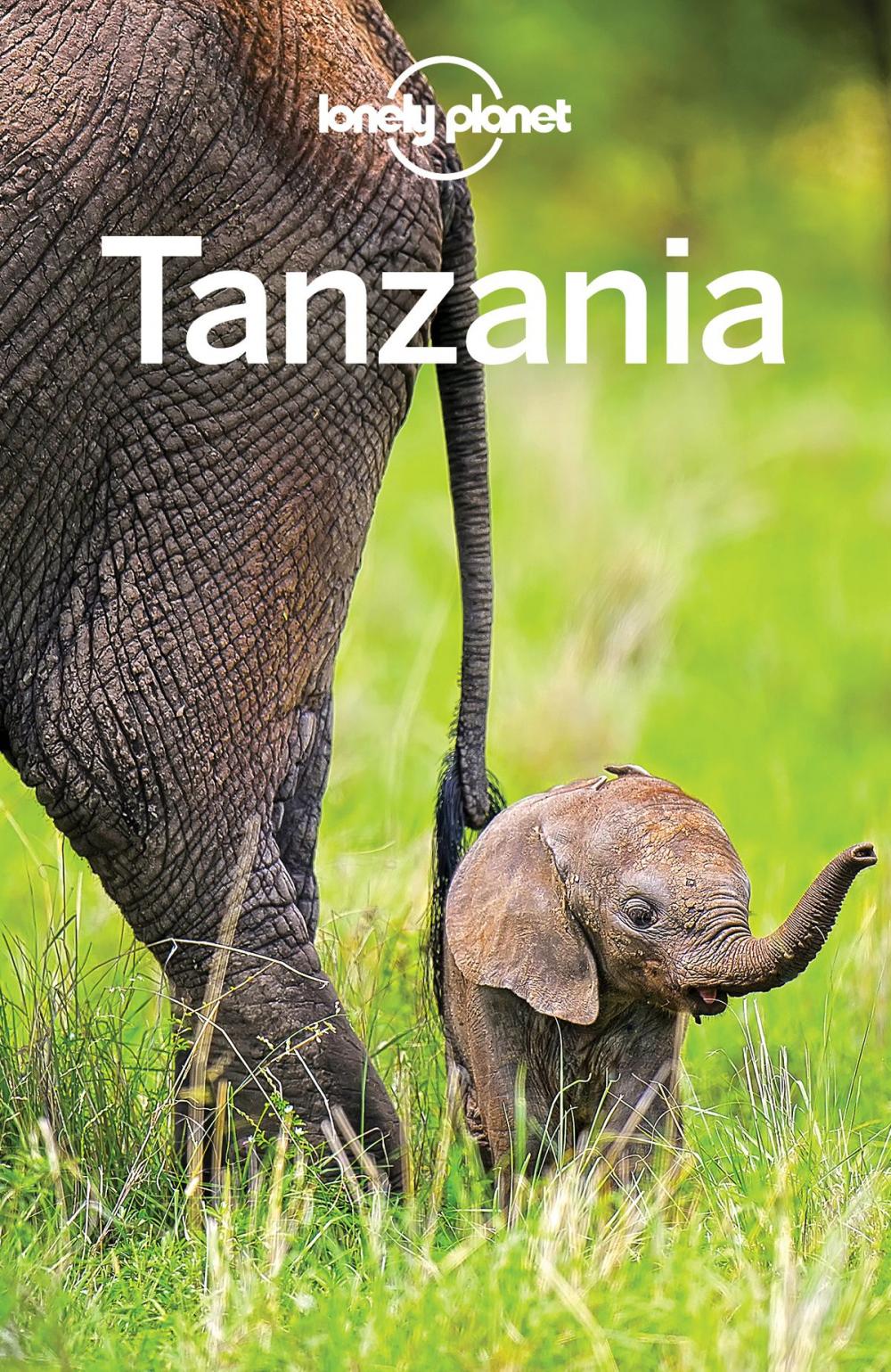 Big bigCover of Lonely Planet Tanzania