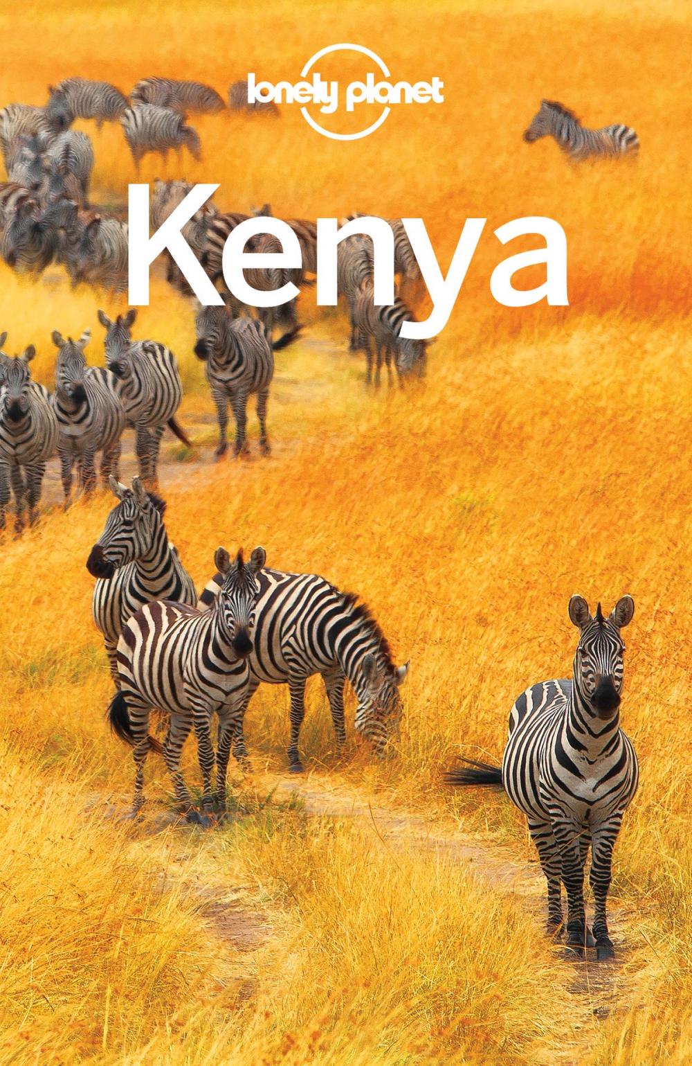 Big bigCover of Lonely Planet Kenya