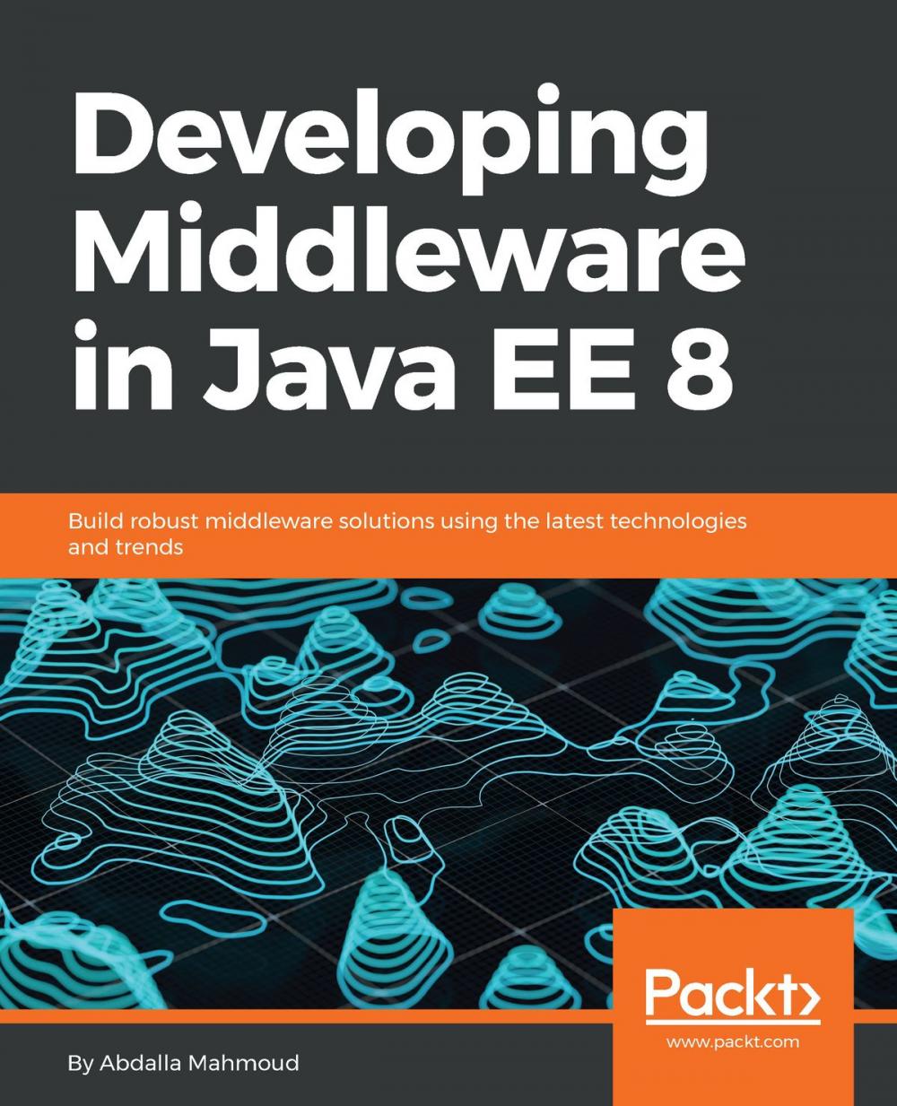 Big bigCover of Developing Middleware in Java EE 8