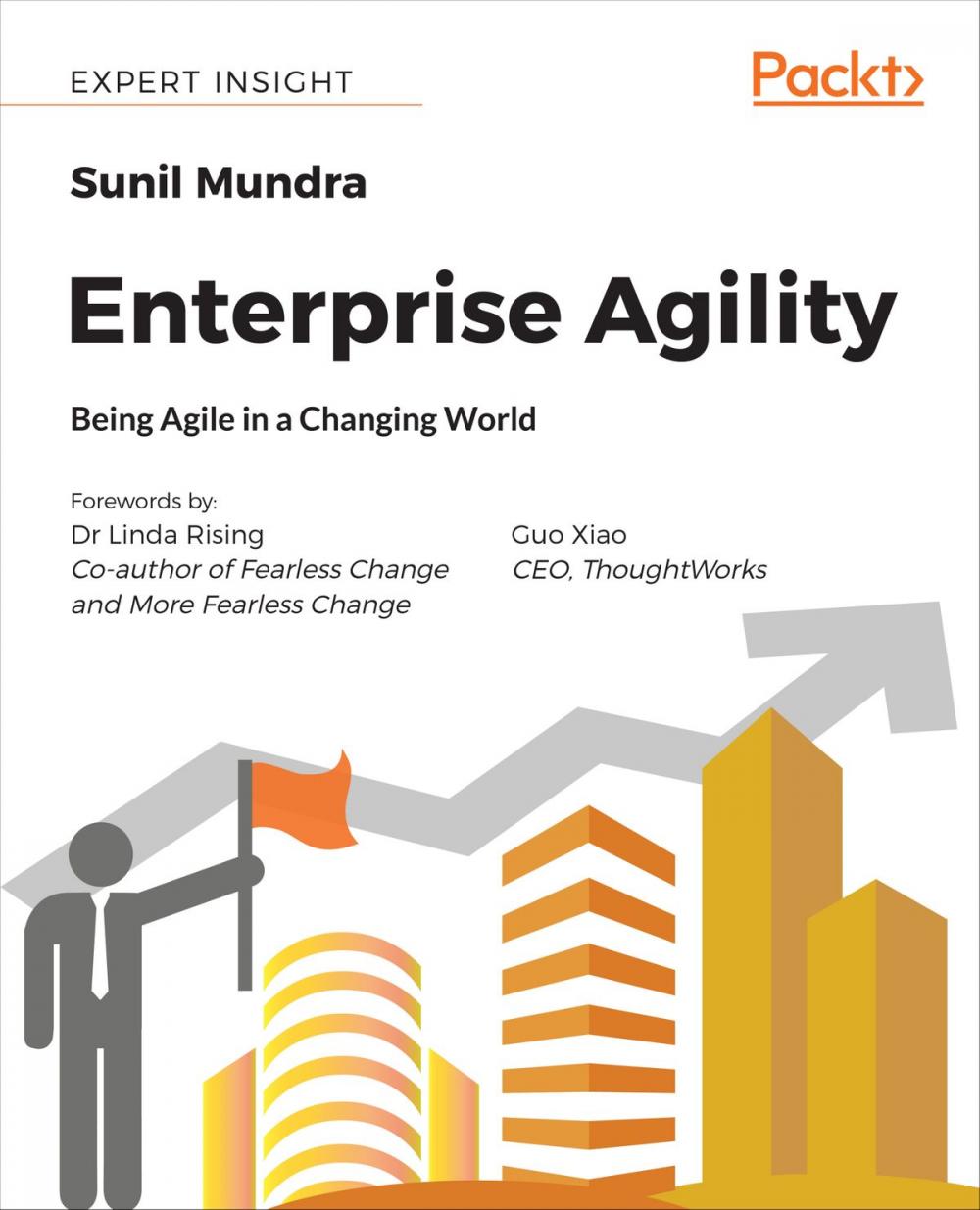 Big bigCover of Enterprise Agility