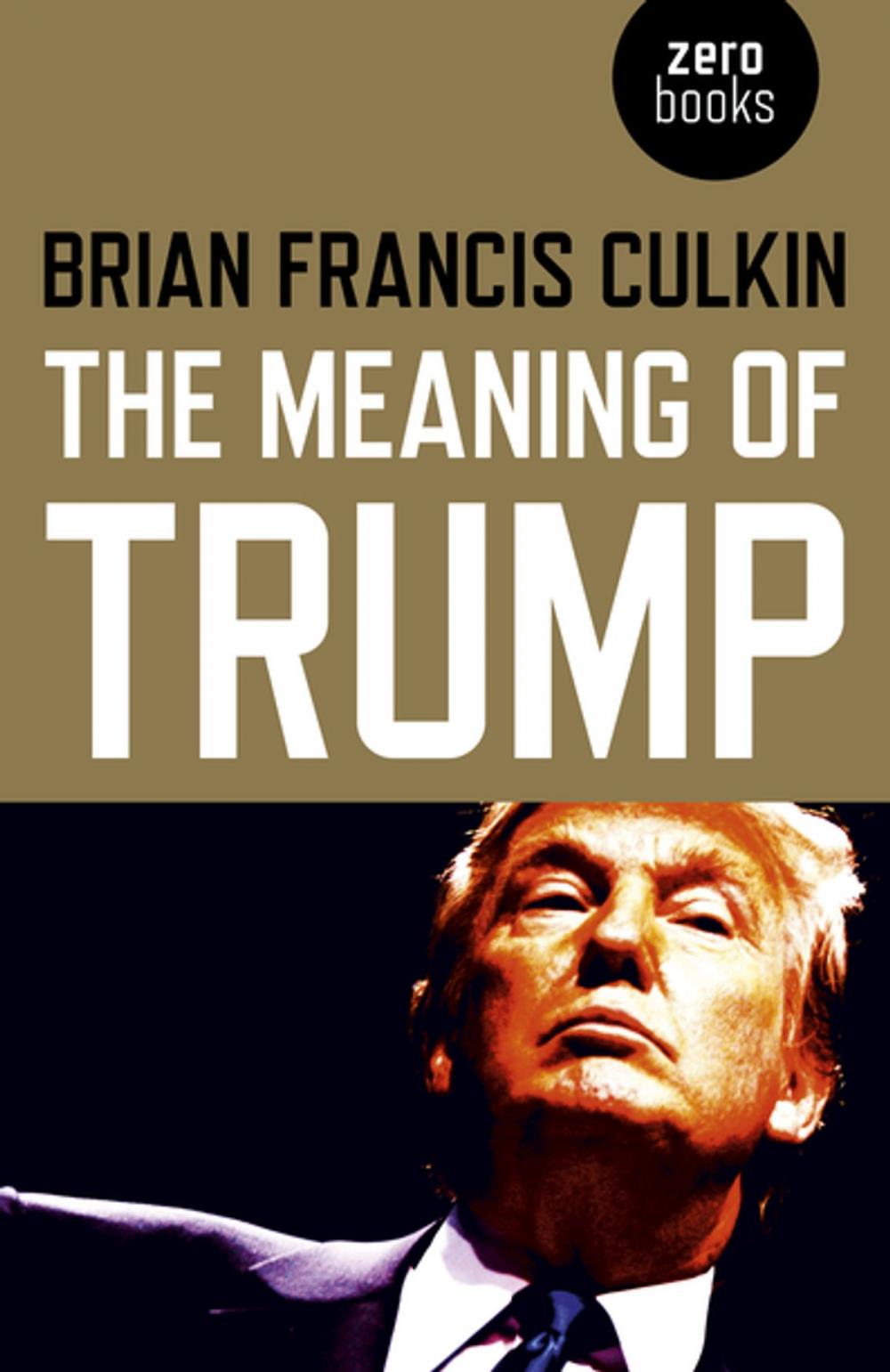 Big bigCover of The Meaning of Trump