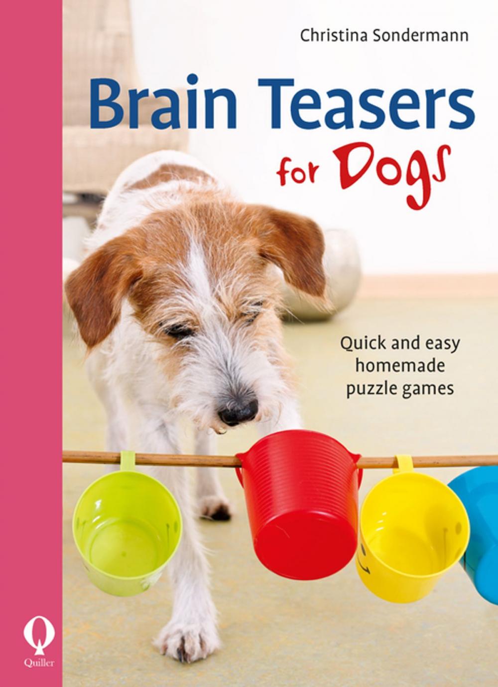 Big bigCover of Brain Teasers for Dogs