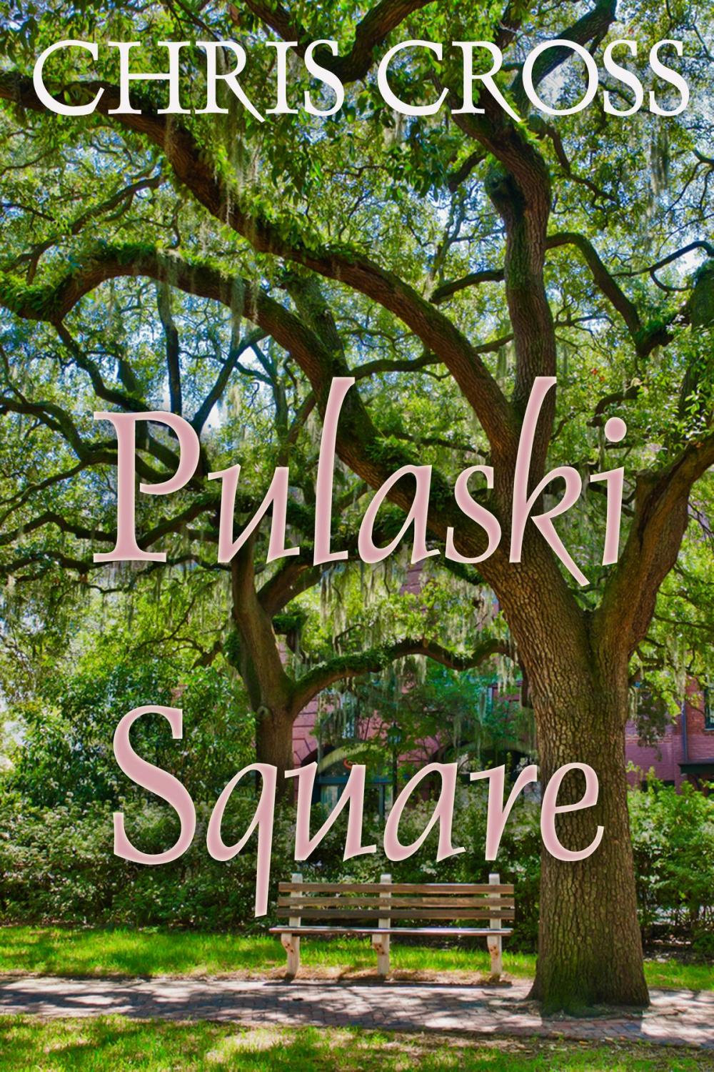 Big bigCover of Pulaski Square