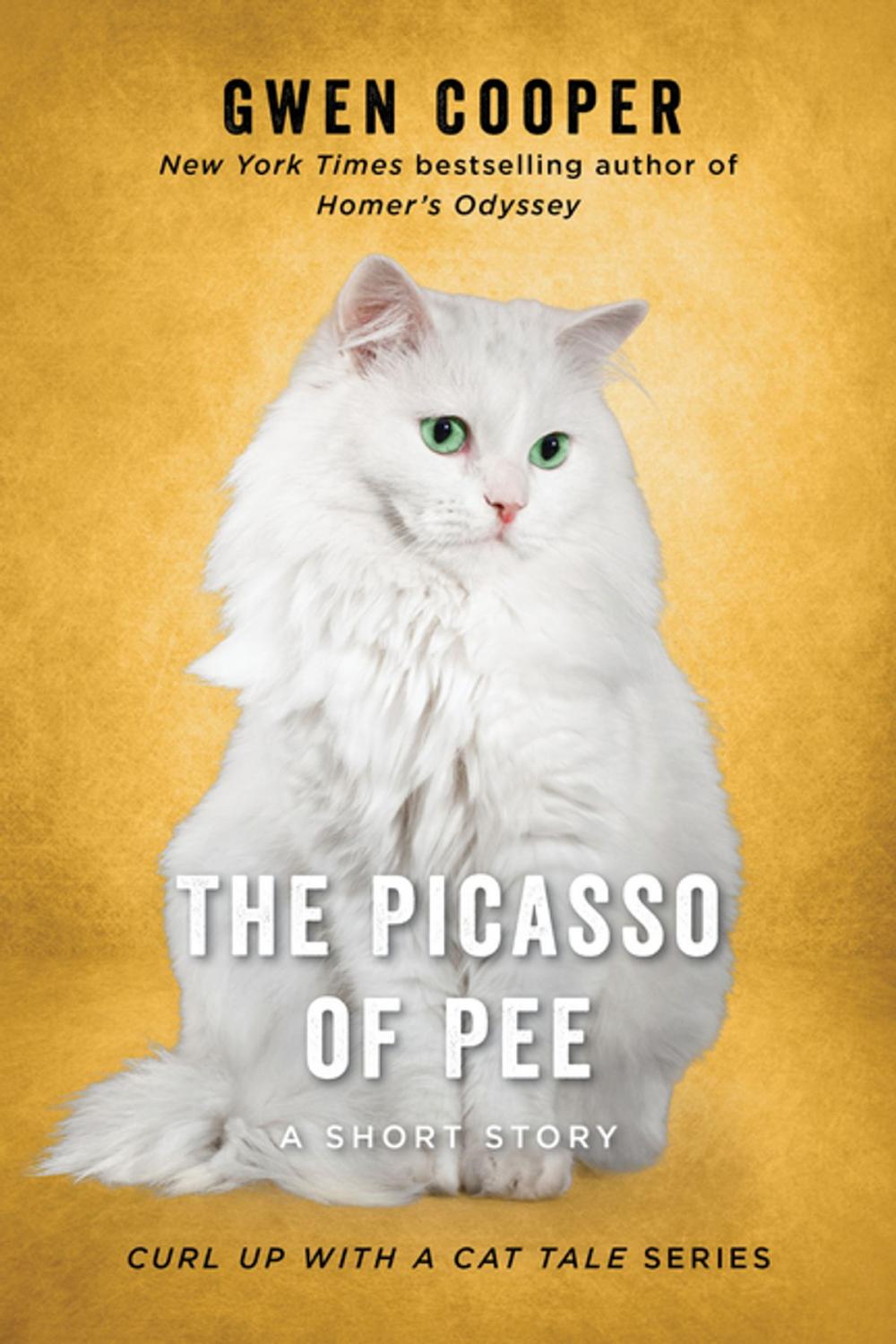 Big bigCover of The Picasso of Pee