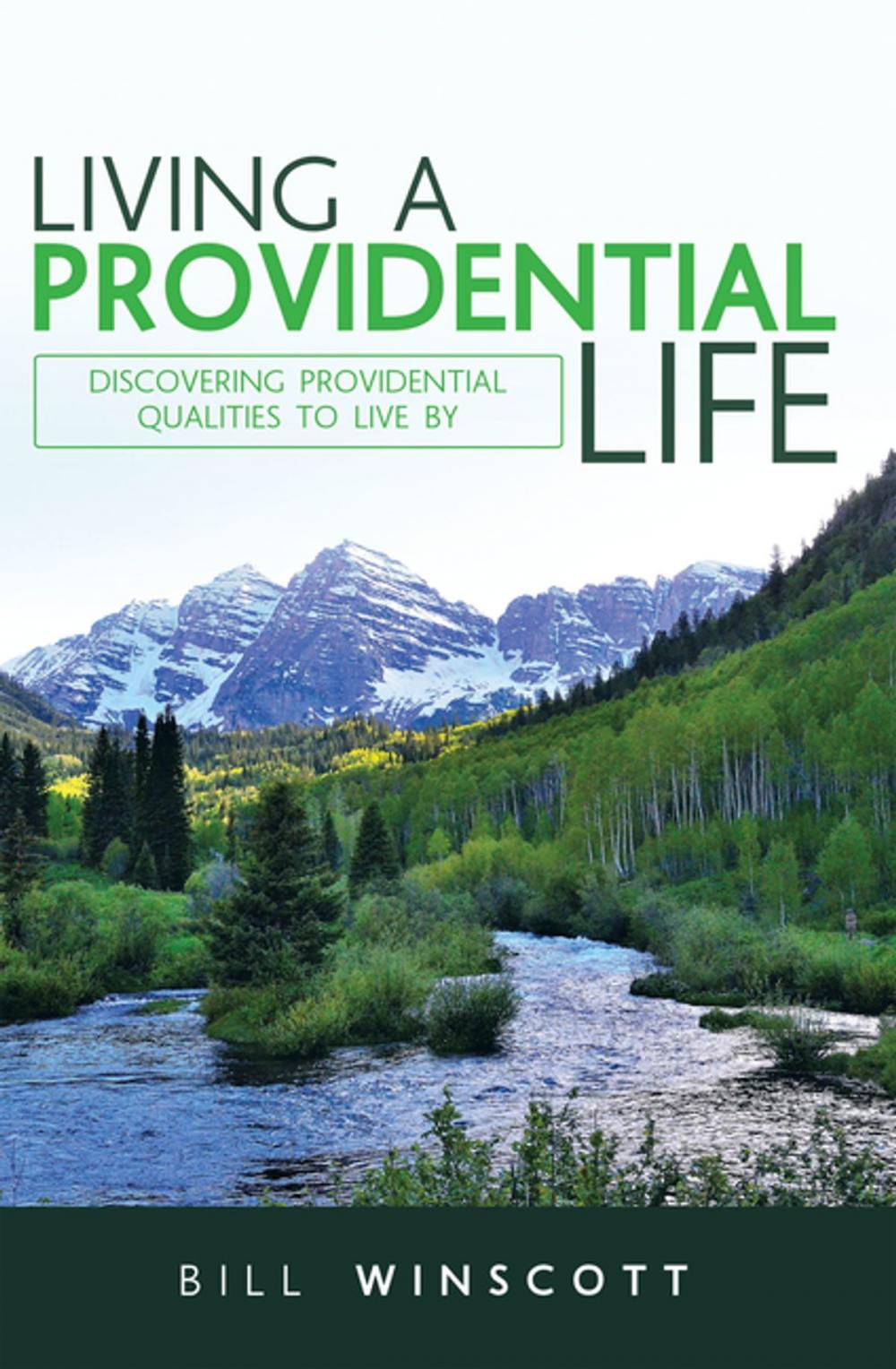 Big bigCover of Living a Providential Life