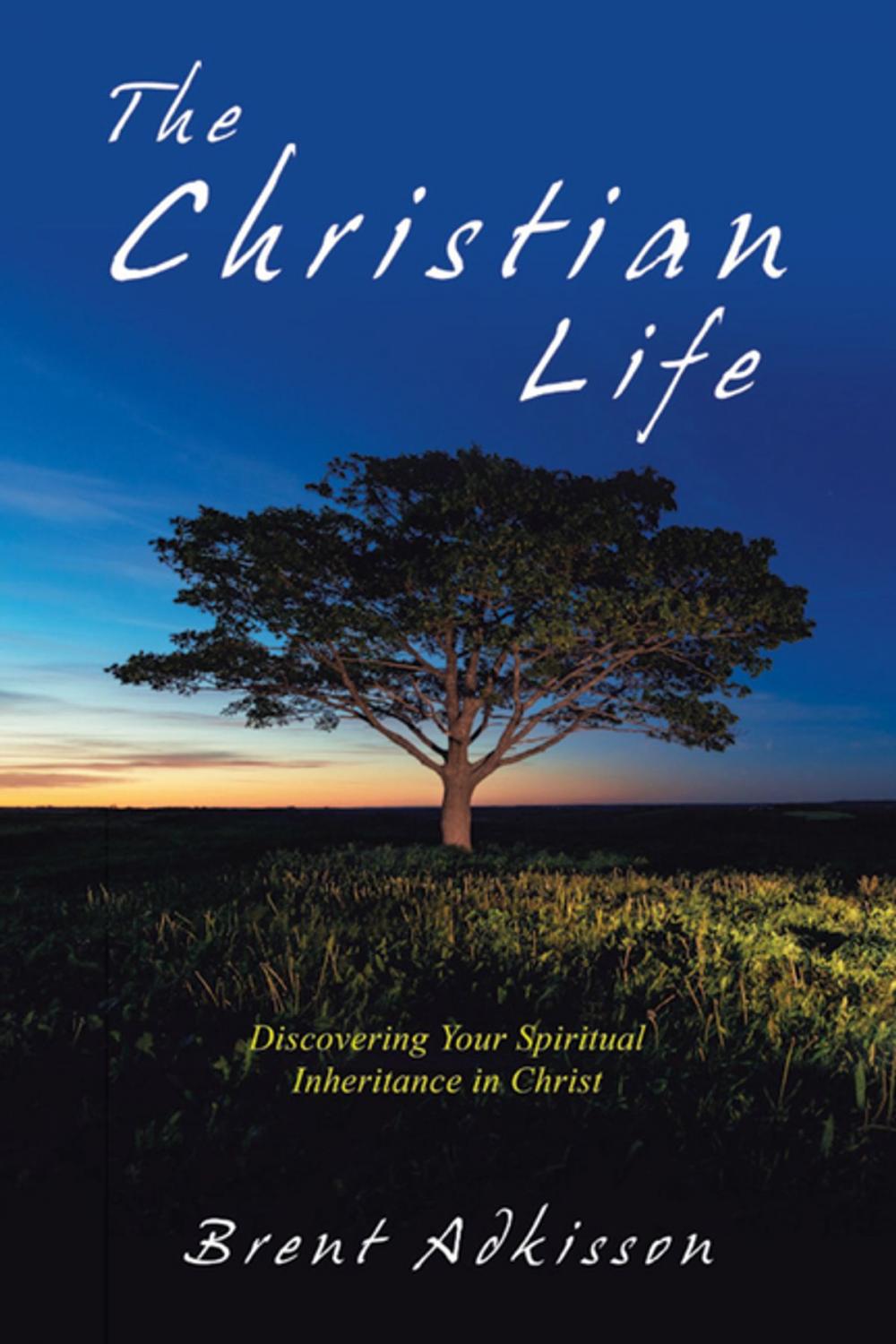 Big bigCover of The Christian Life