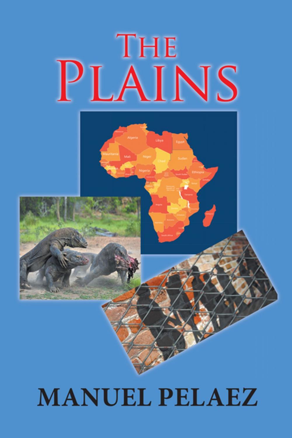 Big bigCover of The Plains