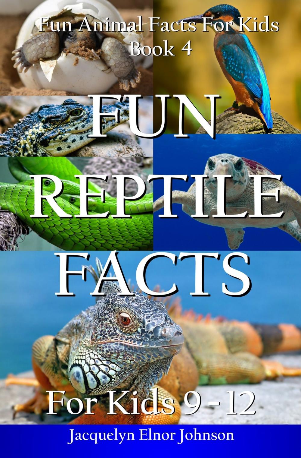 Big bigCover of Fun Reptile Facts for Kids 9-12