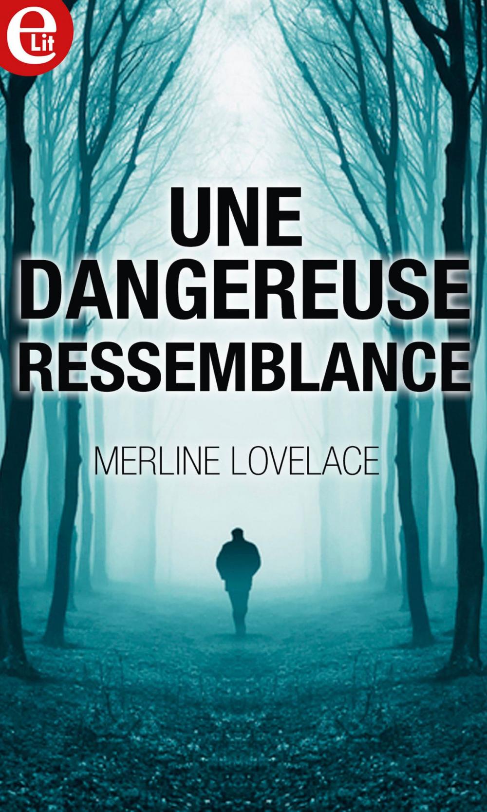 Big bigCover of Une dangereuse ressemblance