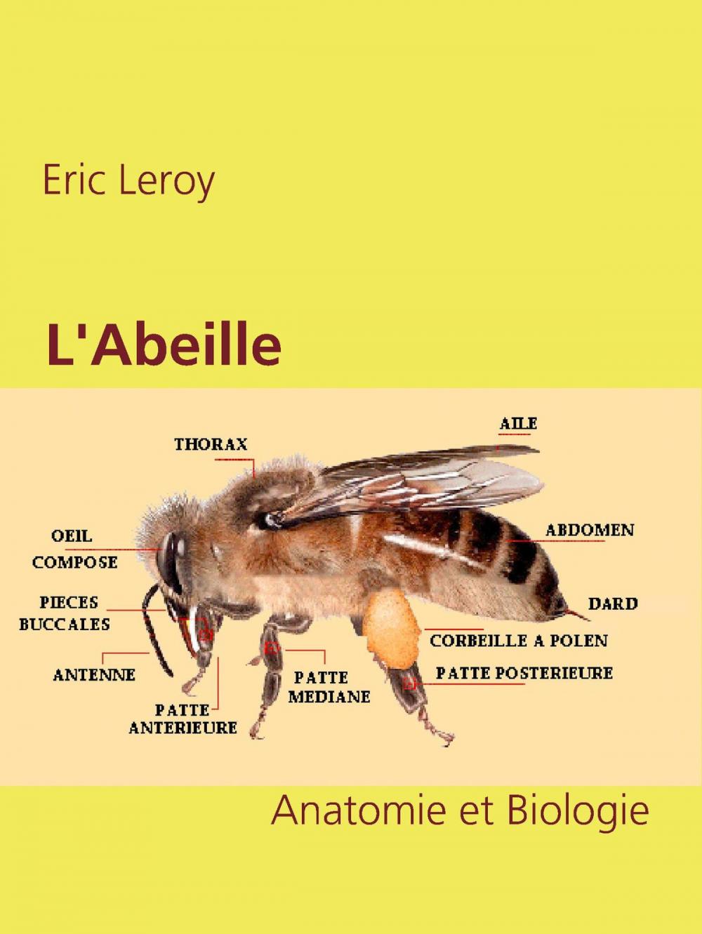 Big bigCover of L'Abeille