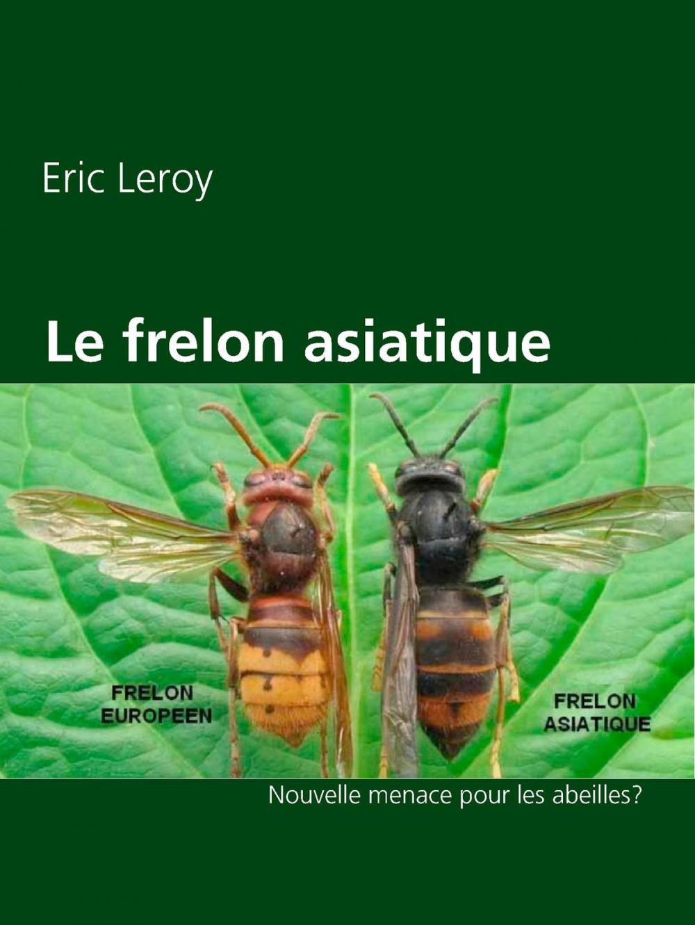 Big bigCover of Le frelon asiatique