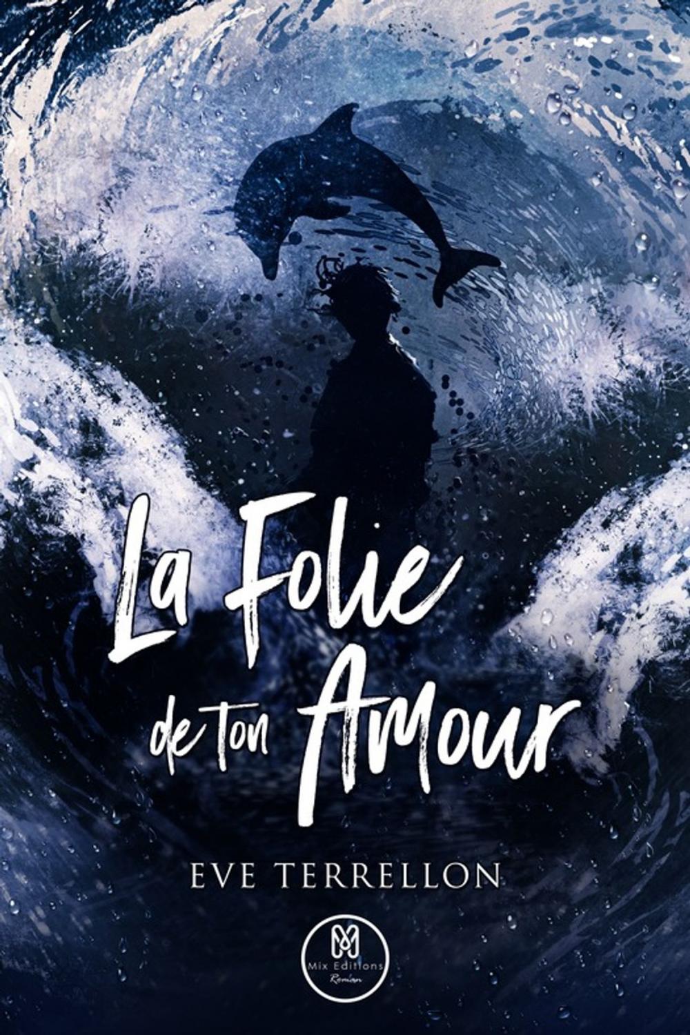 Big bigCover of La folie de ton amour