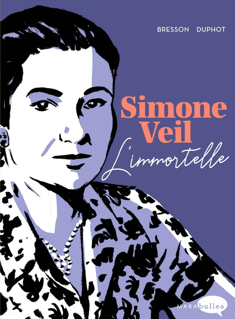 Big bigCover of Simone Veil