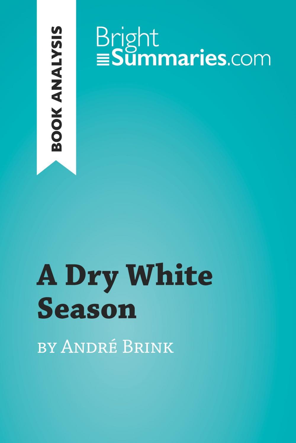 Big bigCover of A Dry White Season by André Brink (Book Analysis)