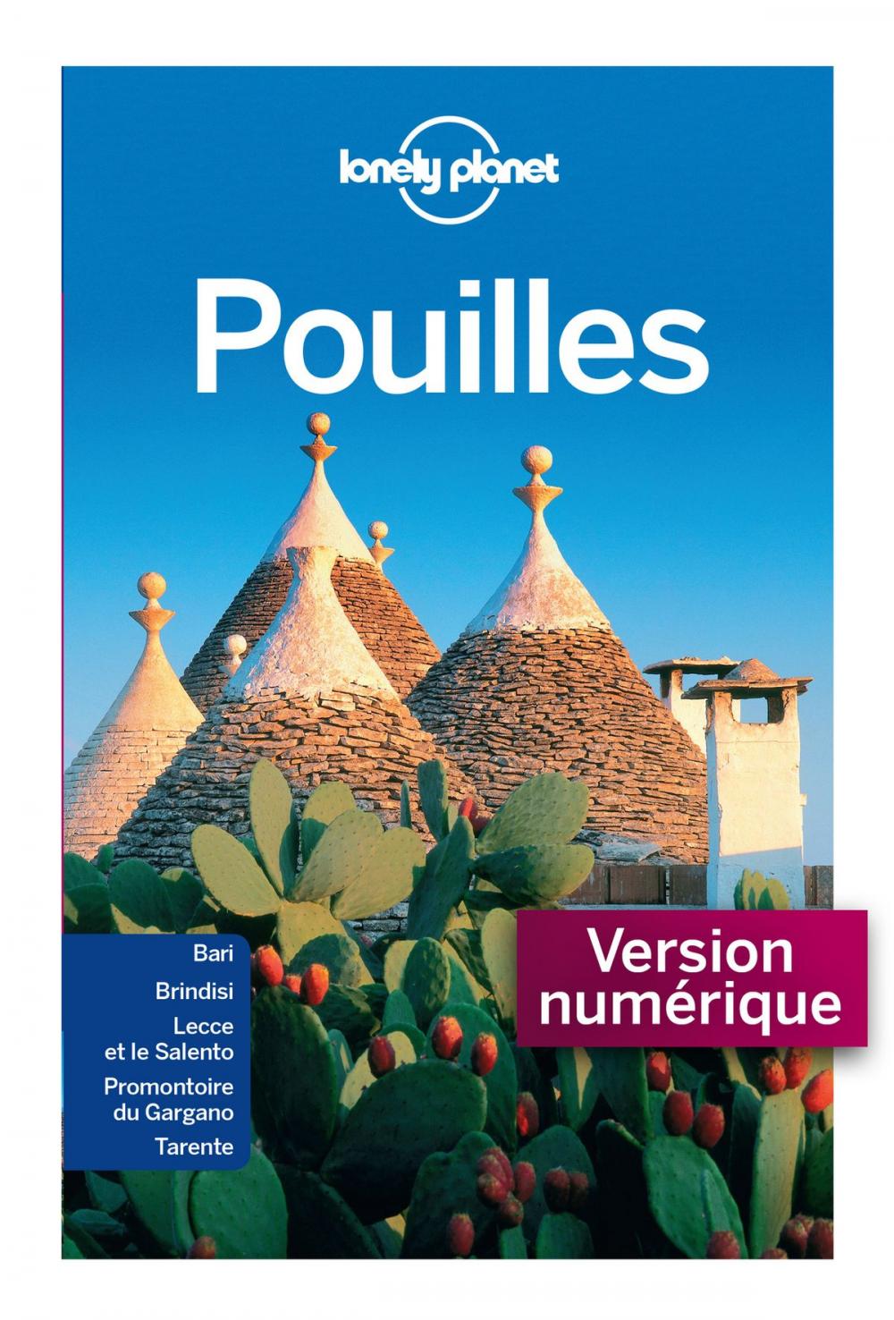 Big bigCover of Pouilles 3ed