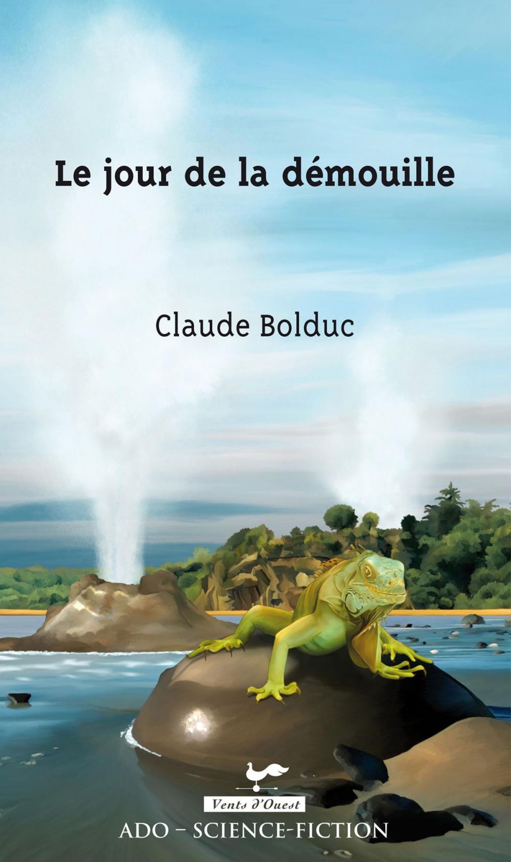 Big bigCover of Le jour de la démouille