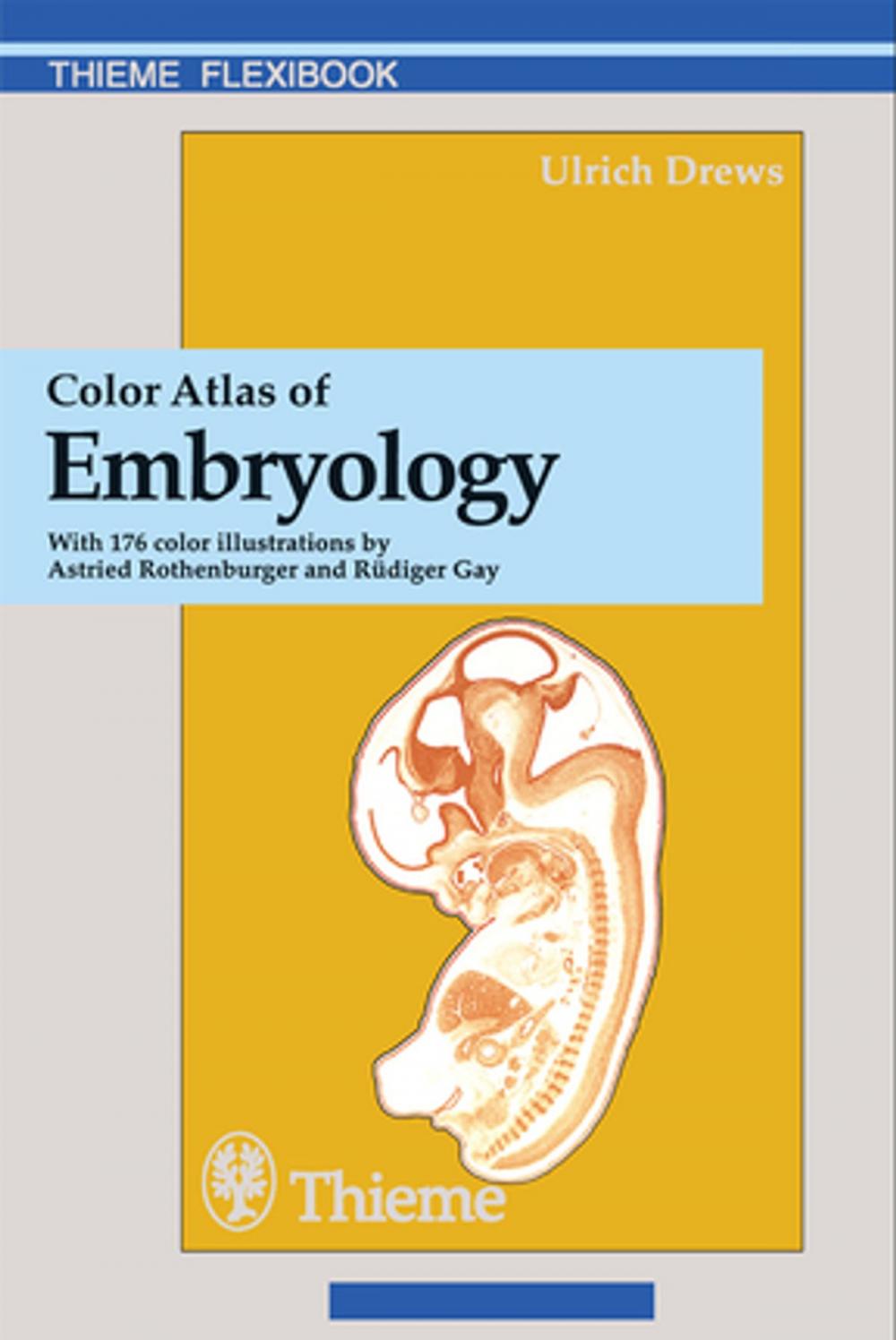 Big bigCover of Color Atlas of Embryology