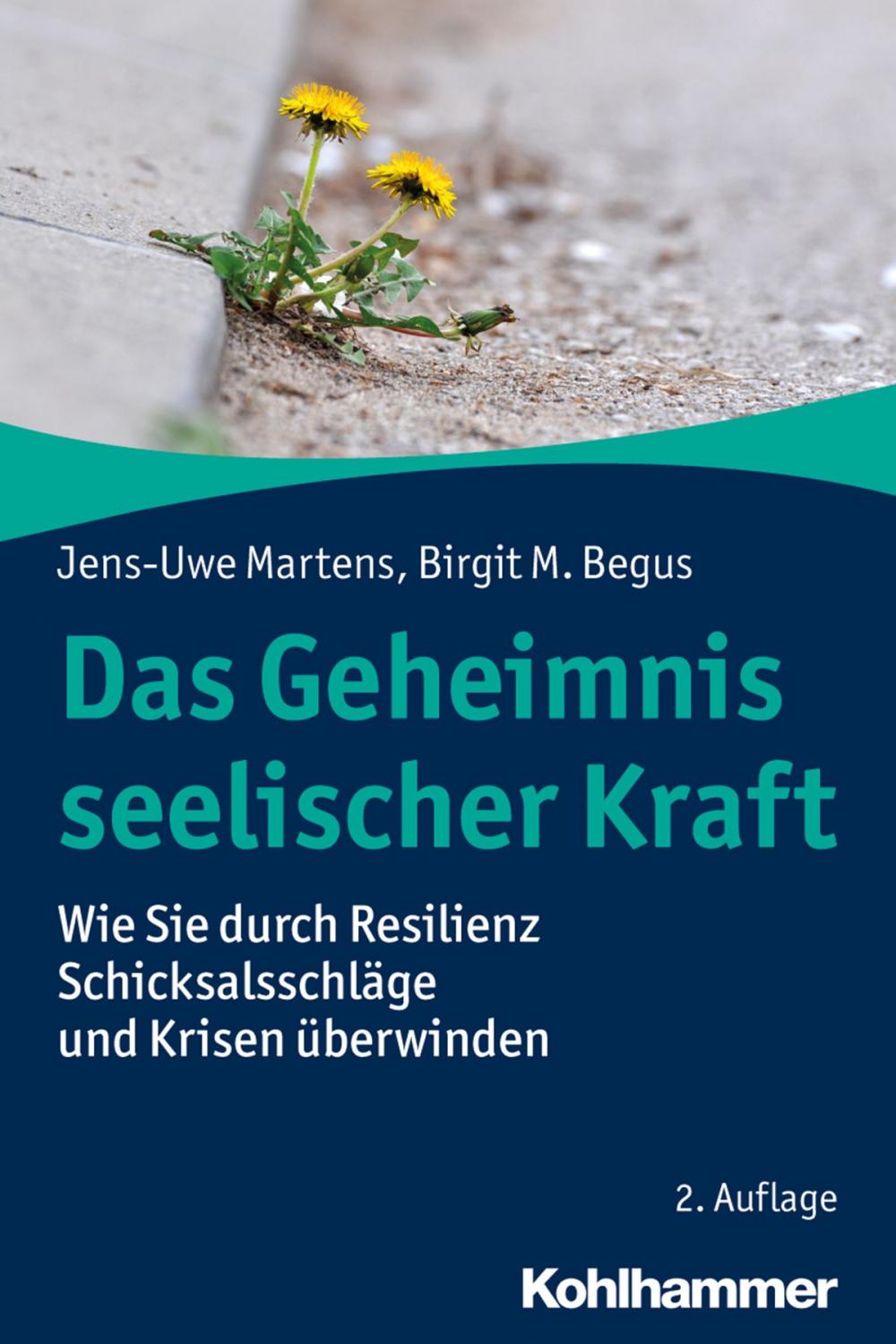 Big bigCover of Das Geheimnis seelischer Kraft