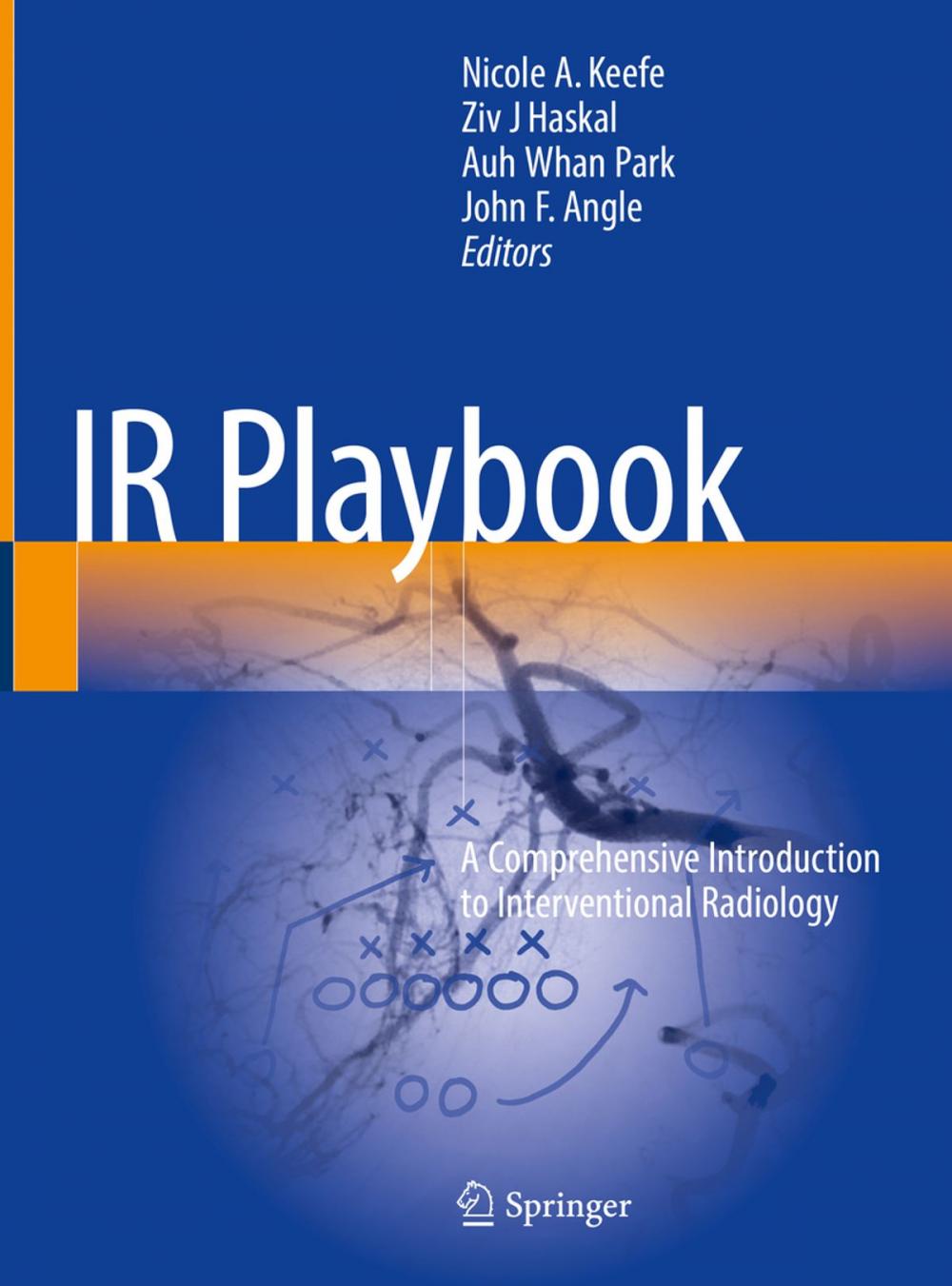 Big bigCover of IR Playbook