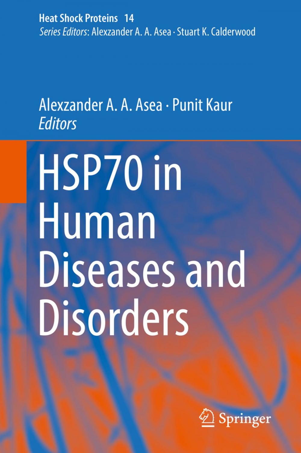 Big bigCover of HSP70 in Human Diseases and Disorders