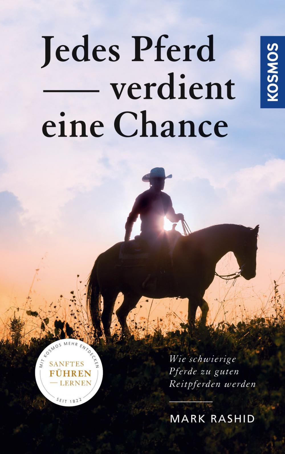 Big bigCover of Jedes Pferd verdient eine Chance