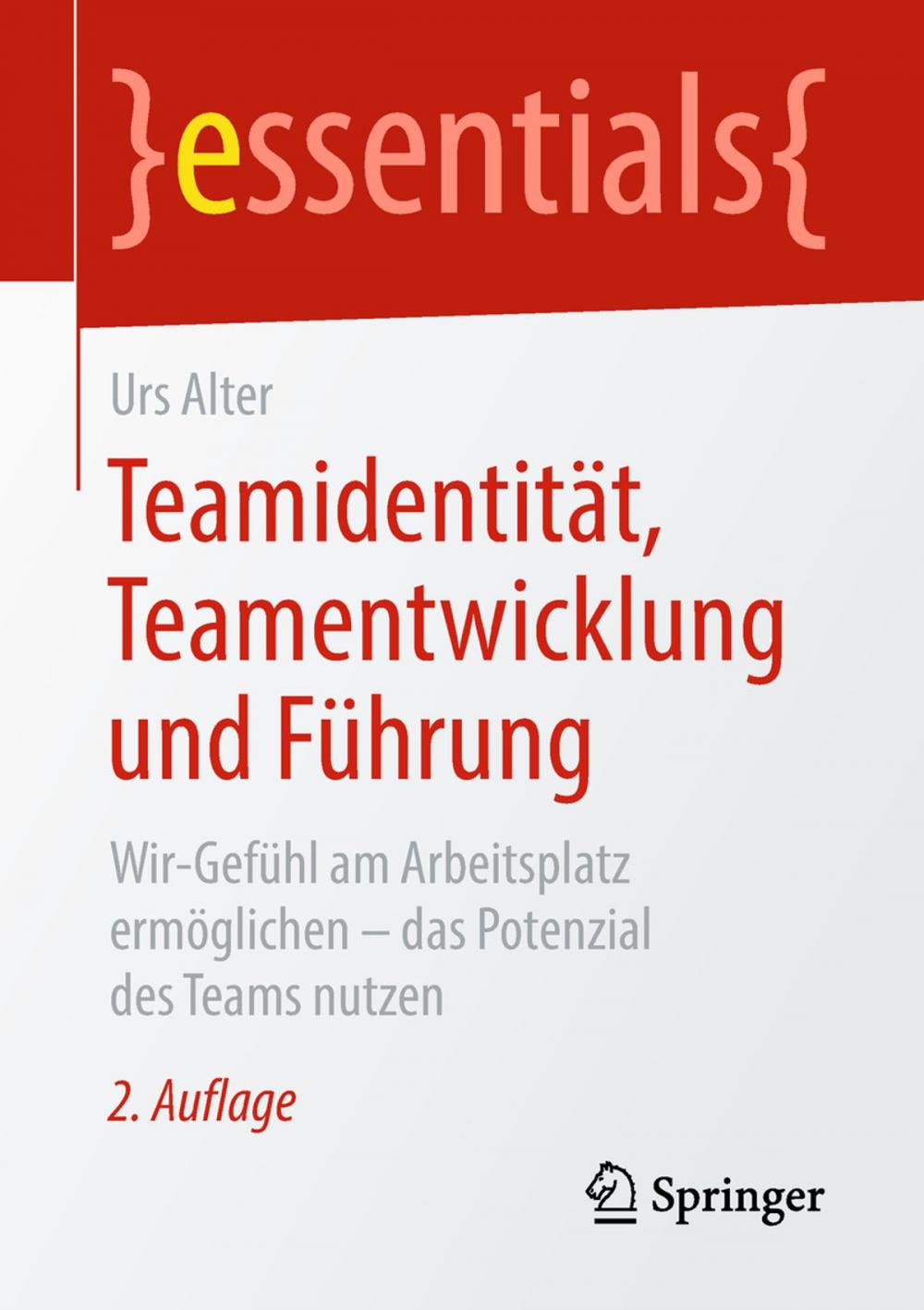 Big bigCover of Teamidentität, Teamentwicklung und Führung