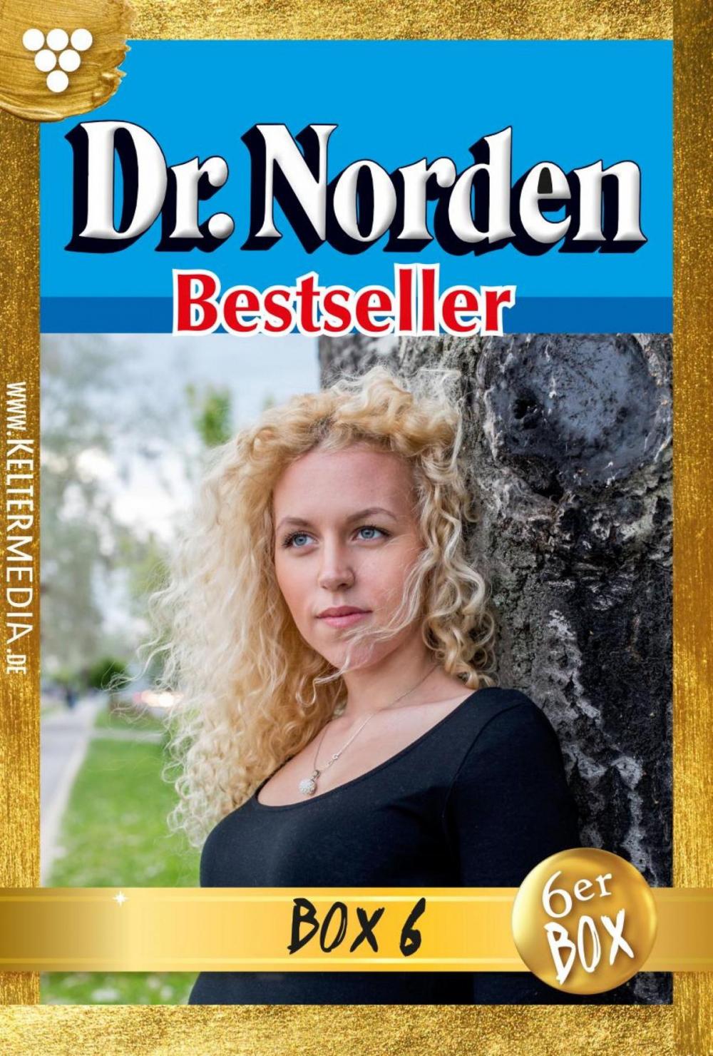 Big bigCover of Dr. Norden Bestseller Jubiläumsbox 6 – Arztroman