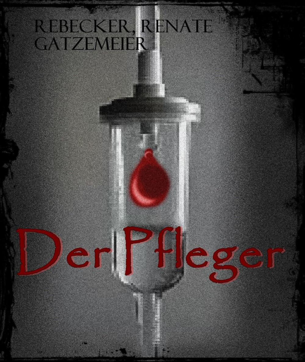 Big bigCover of Der Pfleger