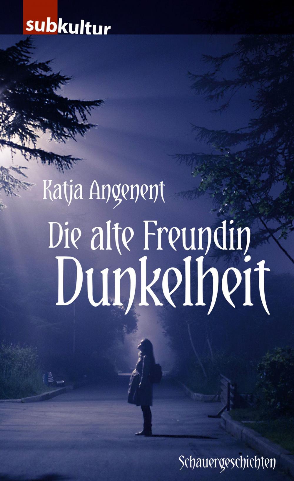 Big bigCover of Die alte Freundin Dunkelheit