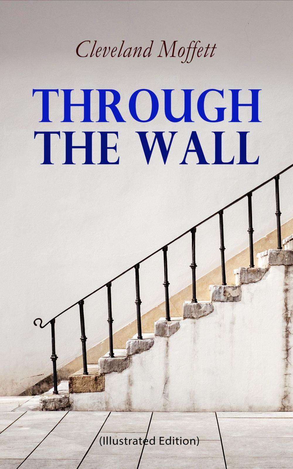 Big bigCover of Through the Wall (Illustrated Edition)