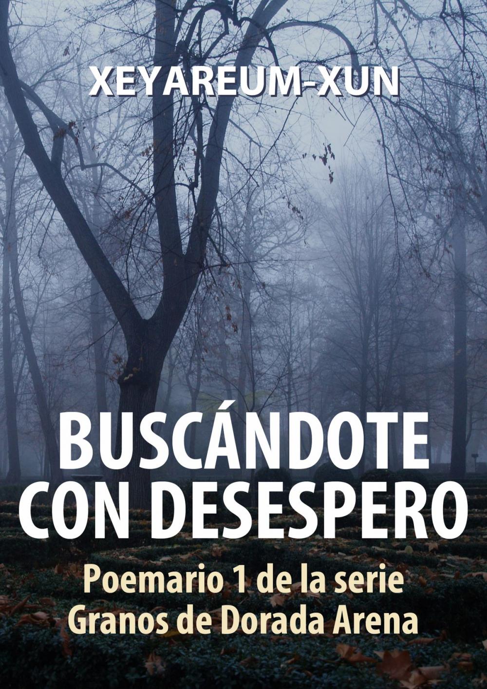 Big bigCover of Buscándote con Desespero