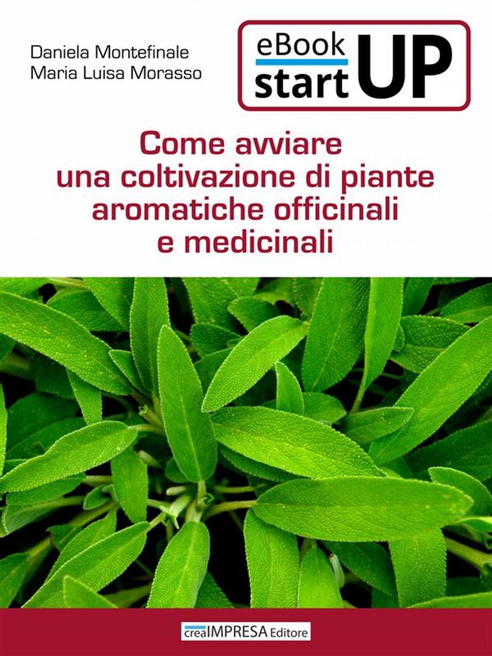 Big bigCover of Come avviare una coltivazione di piante aromatiche, officinali e medicinali