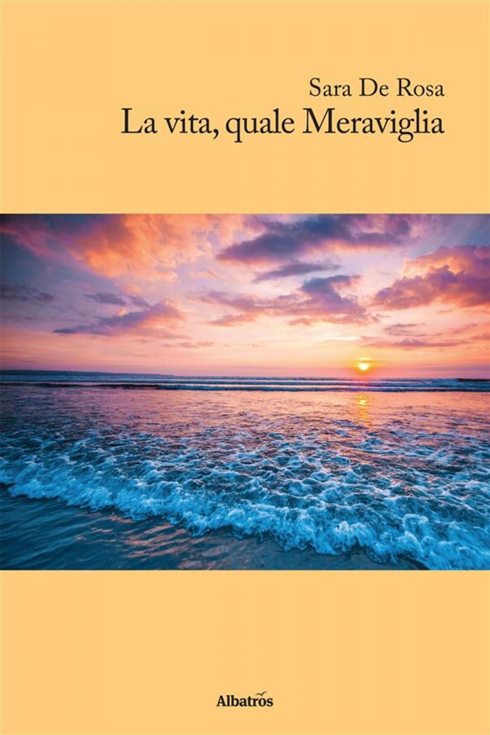 Big bigCover of La vita quale Meraviglia