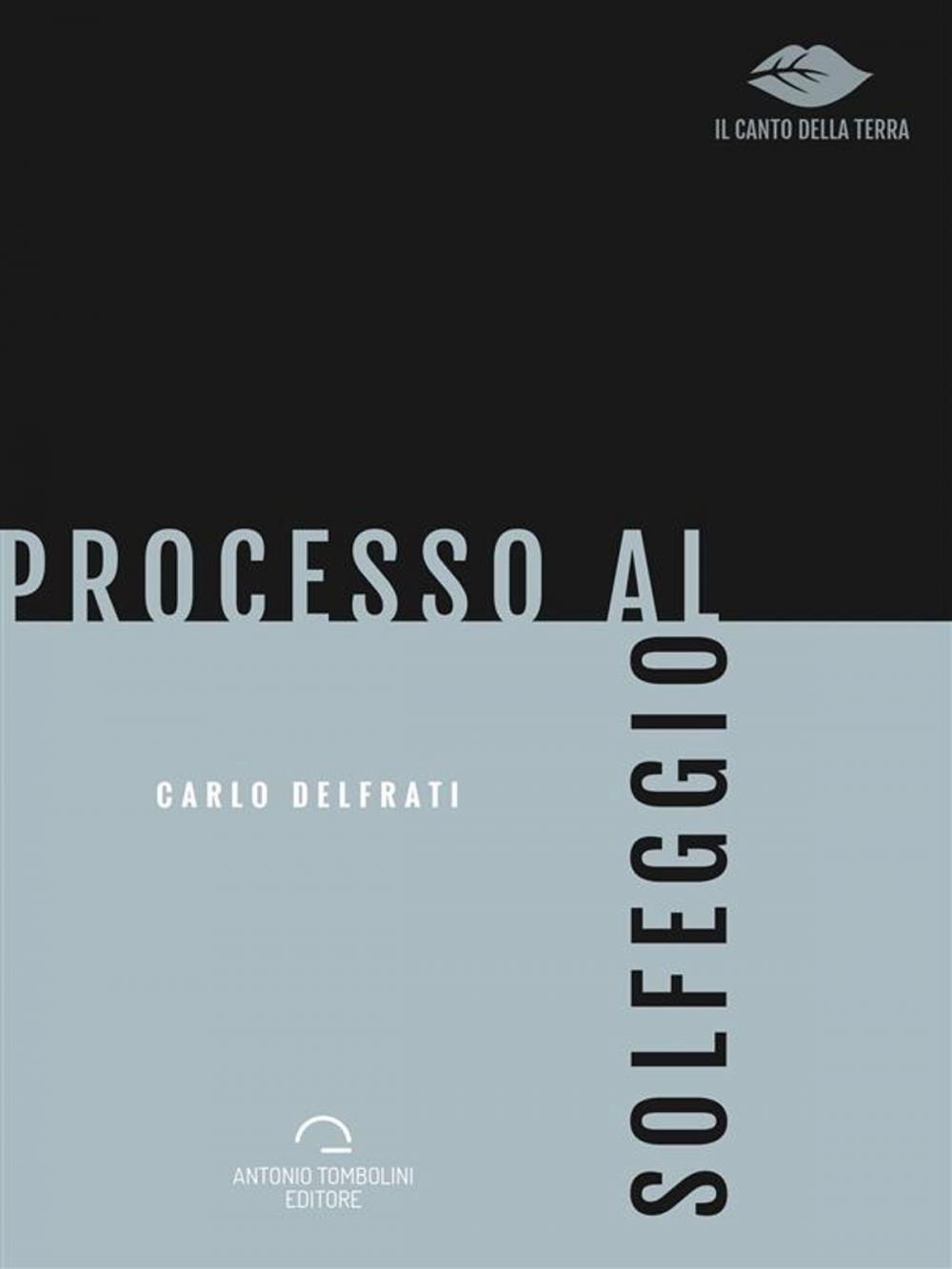 Big bigCover of Processo al Solfeggio