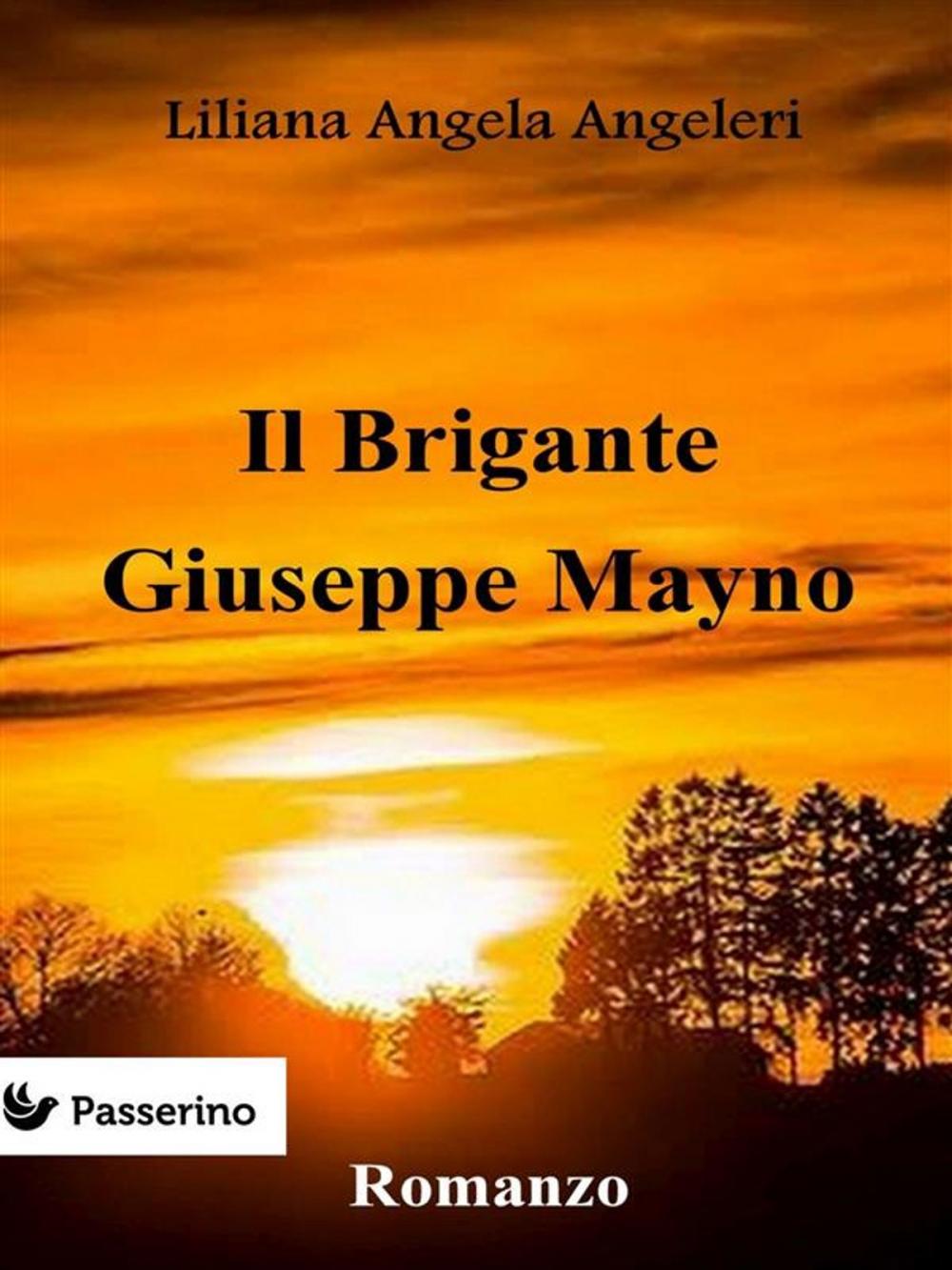 Big bigCover of Il brigante Giuseppe Mayno