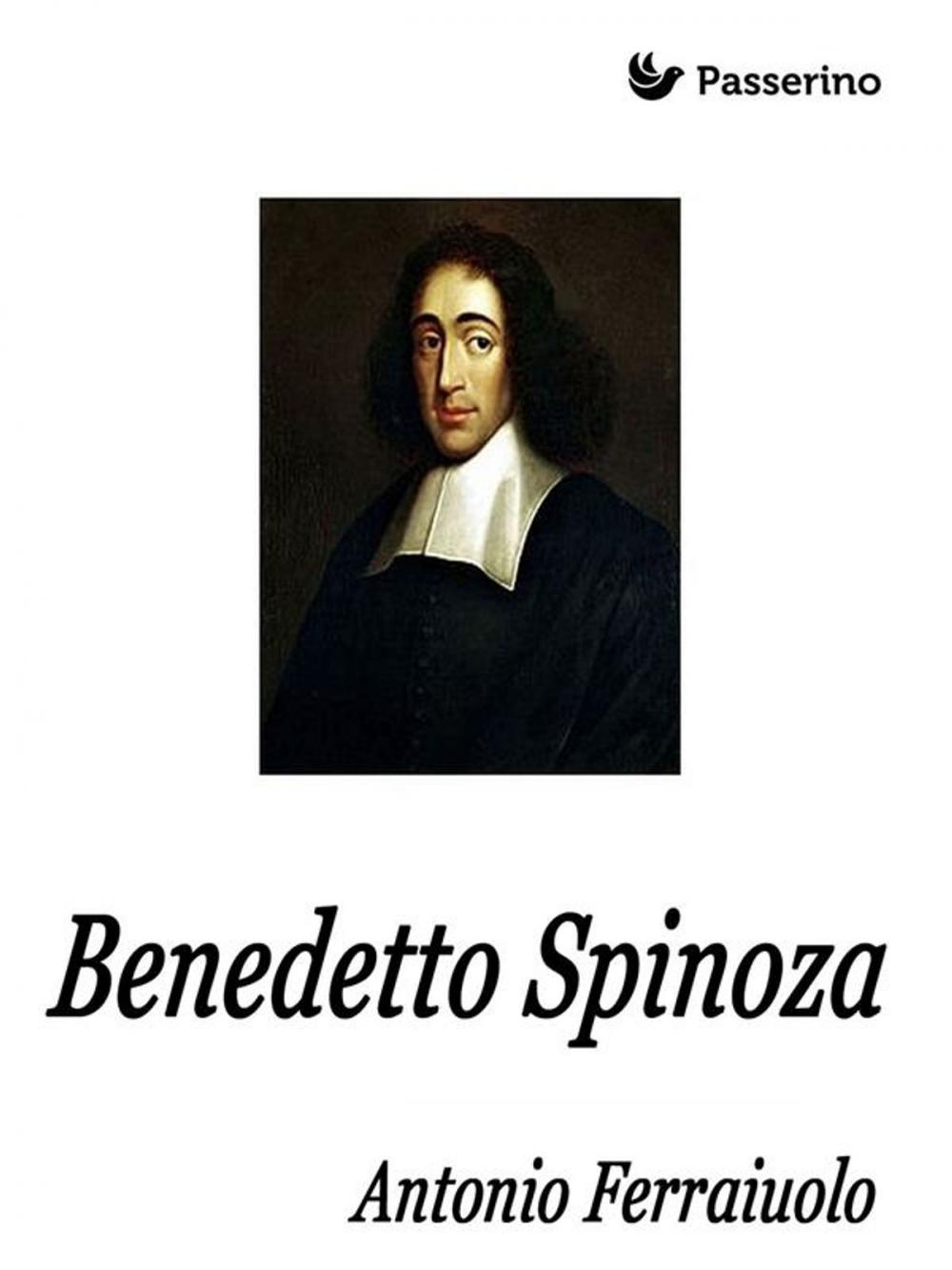 Big bigCover of Benedetto Spinoza