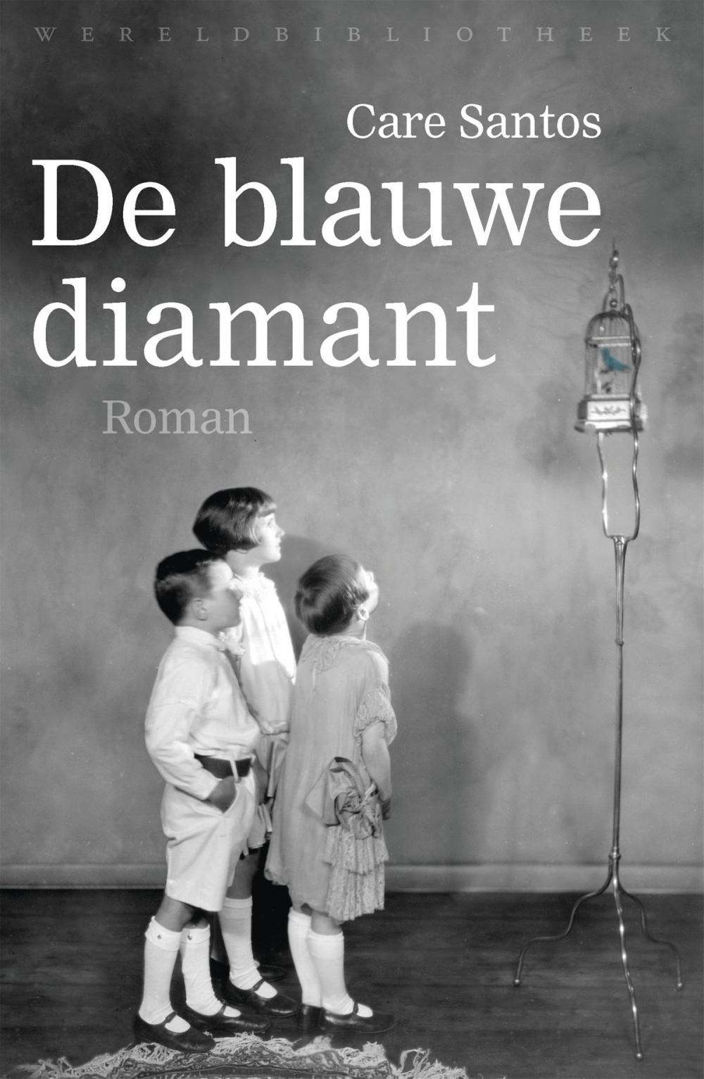 Big bigCover of De blauwe diamant