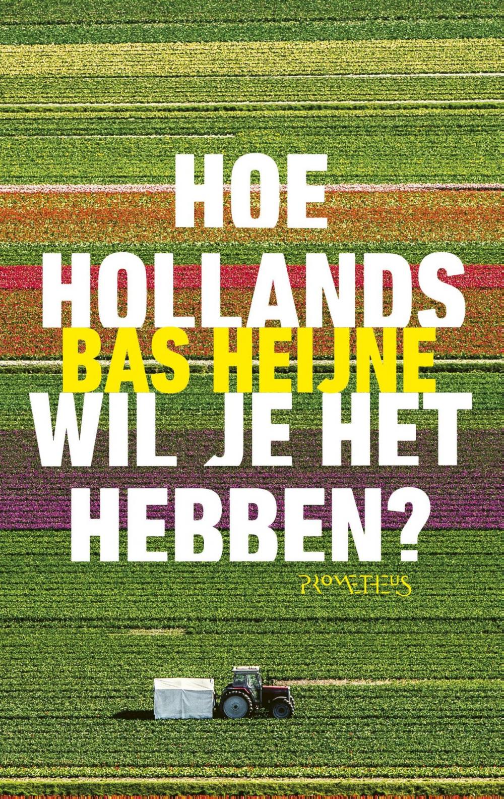 Big bigCover of Hoe Hollands wil je het hebben?