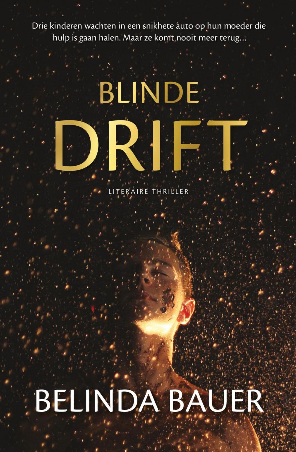 Big bigCover of Blinde drift