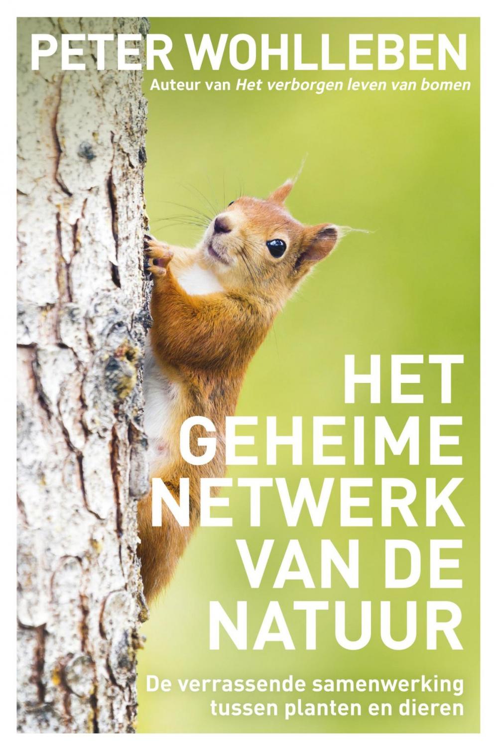 Big bigCover of Het geheime netwerk van de natuur