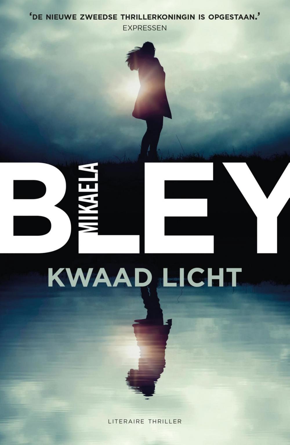 Big bigCover of Kwaad licht