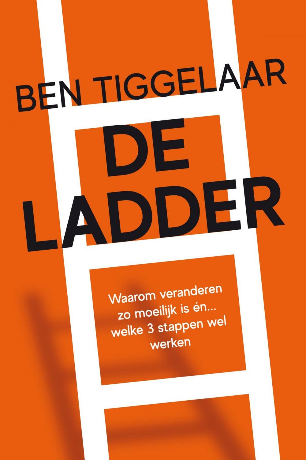 Big bigCover of De Ladder