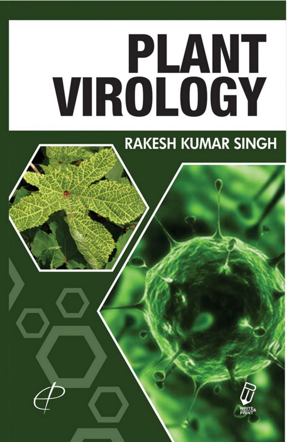 Big bigCover of Plant Virology